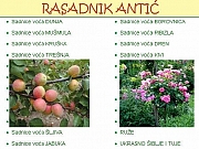 Kupite sadnice voća od proizvodjača