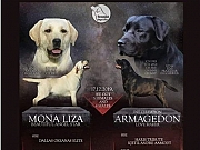 Stenci LABRADOR RETRIVERA