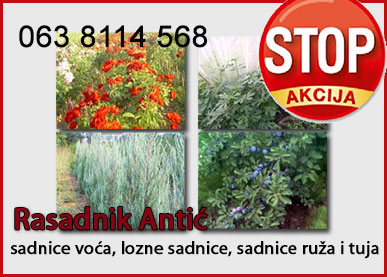 ► Sadnice voća Pravo mesto