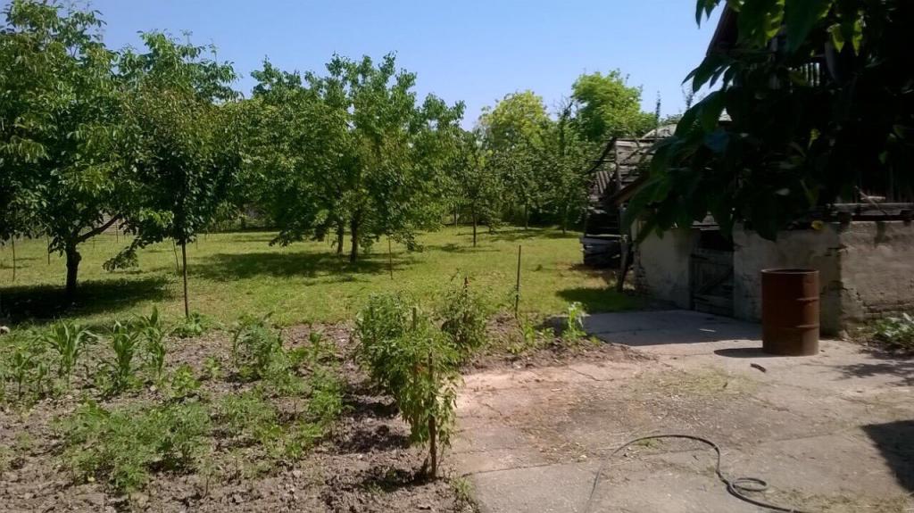 Prodajem kucu u Backom Petrovom Selu