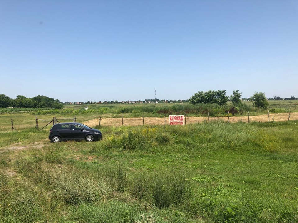 Gradjevinsko zemljiste u Žablju - 1,2 ha