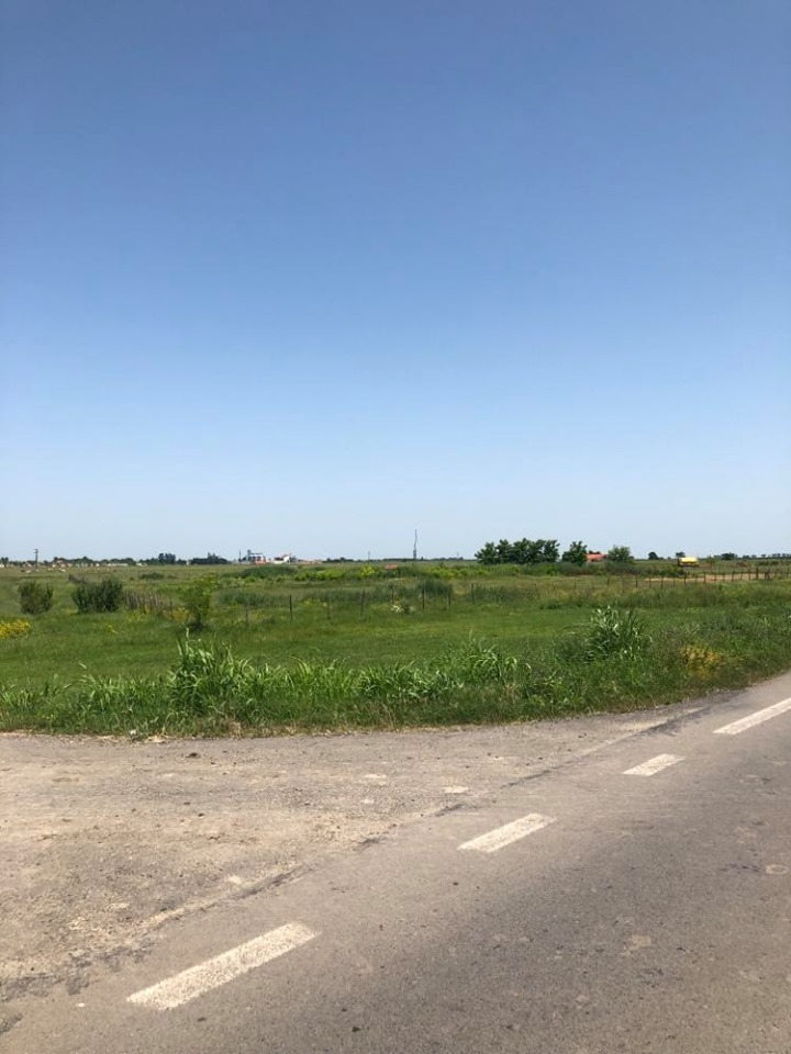 Plac od 1,2 ha na putu Novi Sad-Zrenjanin
